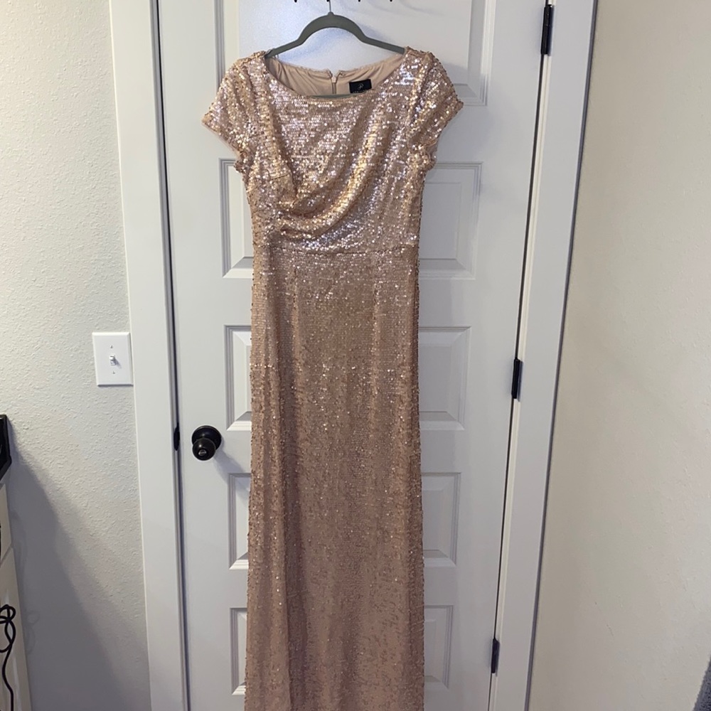 Adrianna Papell Champagne Blush Pink Gown Dress